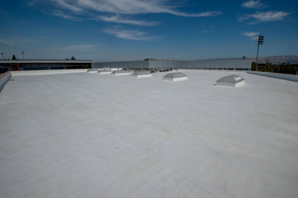 4 Ply Roofing in Fox Lake, IL