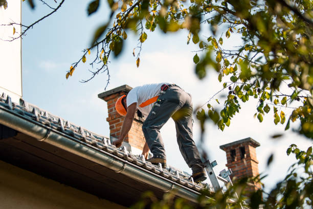 Best Roof Coating Services  in Fox Lake, IL