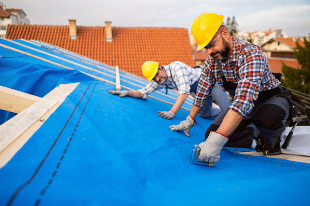 Best Green or Eco-Friendly Roofing Solutions  in Fox Lake, IL