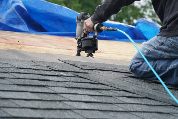 Best Roof Coating Services  in Fox Lake, IL