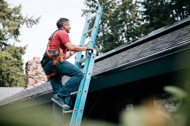 Best Asphalt Shingle Roofing  in Fox Lake, IL