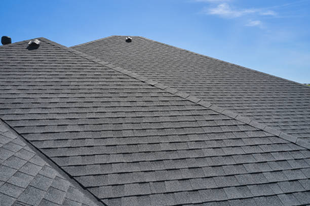 Best Roof Leak Repair  in Fox Lake, IL