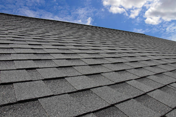 Best Storm Damage Roof Repair  in Fox Lake, IL